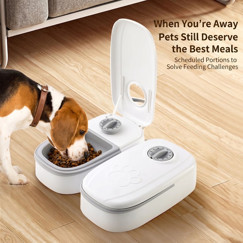 Timed Cooling Pet Food Dispenser Bowl For Cats And Dogs 4