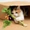 Catnip Chew Toy Dental Molar Stick For Playful Teeth Cleaning 0