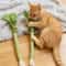 Catnip Chew Toy Dental Molar Stick For Playful Teeth Cleaning 1