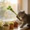 Catnip Chew Toy Dental Molar Stick For Playful Teeth Cleaning 2