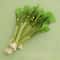 Catnip Chew Toy Dental Molar Stick For Playful Teeth Cleaning 3