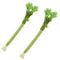 Catnip Chew Toy Dental Molar Stick For Playful Teeth Cleaning 6