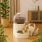 Large Capacity Automatic Pet Feeder And Dog Water Dispenser Bowl 3