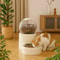 Large Capacity Automatic Pet Feeder And Dog Water Dispenser Bowl 3
