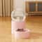 Large Capacity Automatic Pet Feeder And Dog Water Dispenser Bowl 10