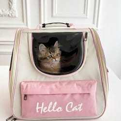 comfortshield cat carrier backpack for travel & outdoor adventures