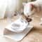 Elevated NonSlip Double Cat Bowl With Stand For Cats Small Dogs 0
