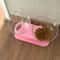 Elevated NonSlip Double Cat Bowl With Stand For Cats Small Dogs 1
