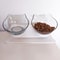 Elevated NonSlip Double Cat Bowl With Stand For Cats Small Dogs 7