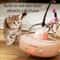Smart UFO Interactive Cat Toy With Feather Teaser 0