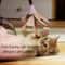 Smart UFO Interactive Cat Toy With Feather Teaser 3