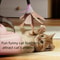 Smart UFO Interactive Cat Toy With Feather Teaser 3