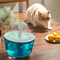 PureFlow Cat Water Fountain UltraQuiet 12L Pet Water Fountain With Filtered Recirculating Water Sy 3