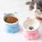 Slanted Ceramic Cat Bowl NonSlip Elevated Pet Feeder 3