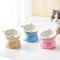 Slanted Ceramic Cat Bowl NonSlip Elevated Pet Feeder 4