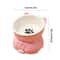 Slanted Ceramic Cat Bowl NonSlip Elevated Pet Feeder 5