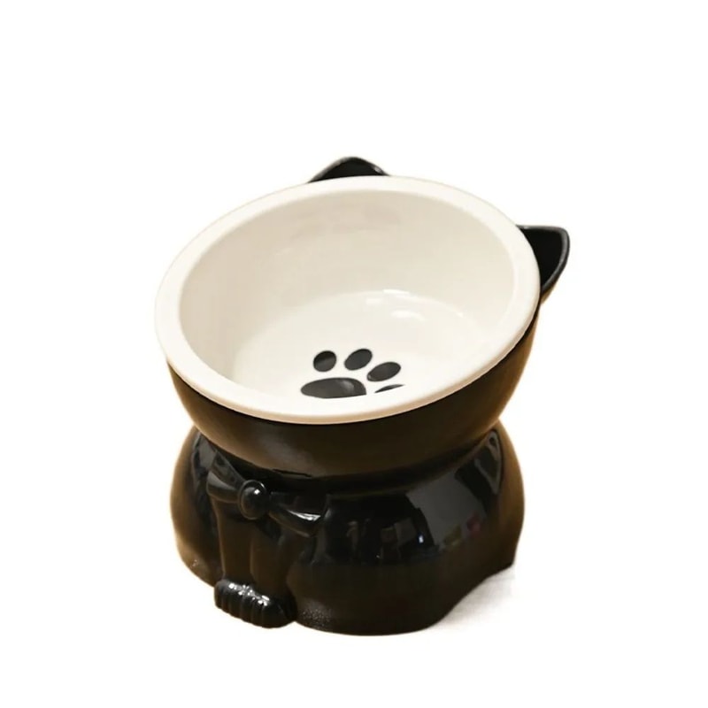 Slanted Ceramic Cat Bowl NonSlip Elevated Pet Feeder 6