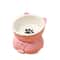 Slanted Ceramic Cat Bowl NonSlip Elevated Pet Feeder 8