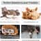 CozyPaw Cat Door Holder Ring Stopper For Easy Pet Access 1