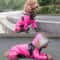 ClearView Waterproof Dog Raincoat With Transparent Hood 5