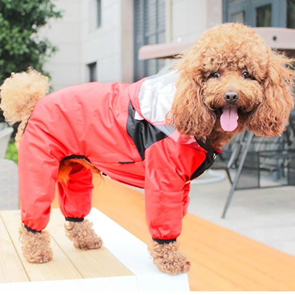 ClearView Waterproof Dog Raincoat With Transparent Hood 7