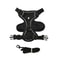 Reflective Breathable Dog Harness Leash Set For Small Dogs And Cats 1