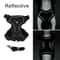 Reflective Breathable Dog Harness Leash Set For Small Dogs And Cats 2