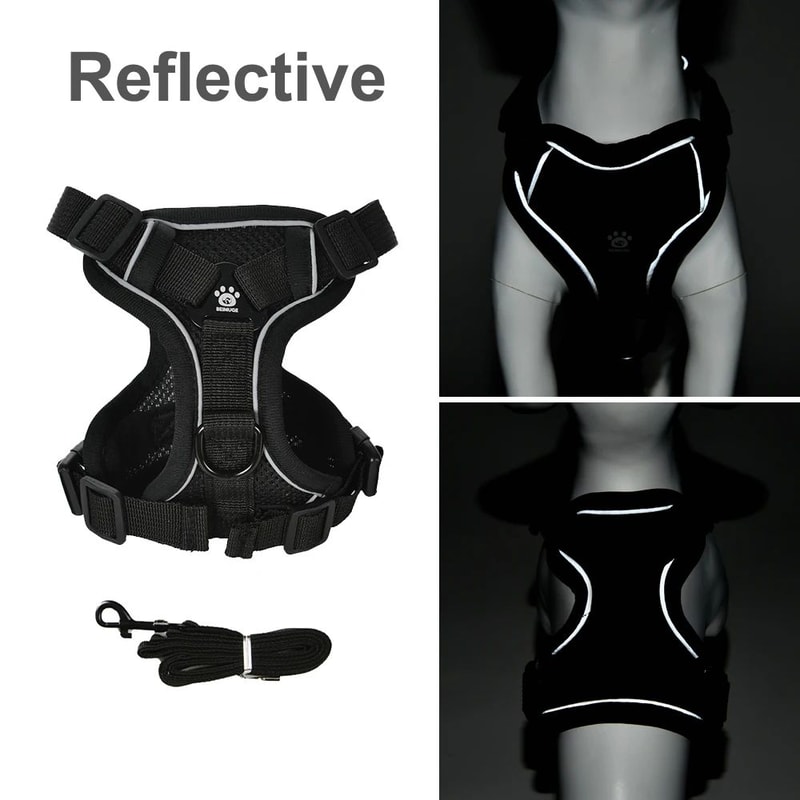 Reflective Breathable Dog Harness Leash Set For Small Dogs And Cats 2