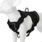 Reflective Breathable Dog Harness Leash Set For Small Dogs And Cats 4