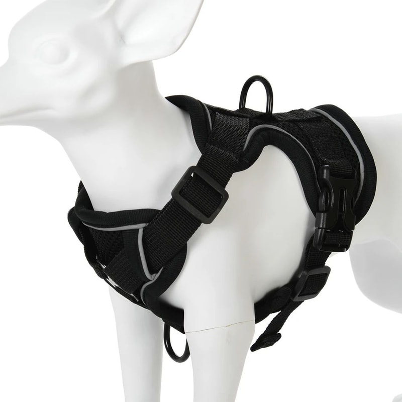 Reflective Breathable Dog Harness Leash Set For Small Dogs And Cats 4