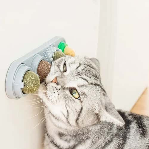 4-in-1 Catnip Wall Toy with Silvervine – Rotating Dental Cleaning & Interactive Cat Treat Ball