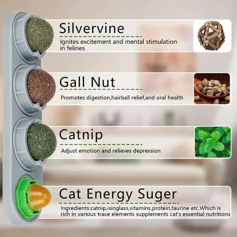 4in1 Catnip Wall Toy With Silvervine Rotating Dental Cleaning Interactive Cat Treat Ball 2
