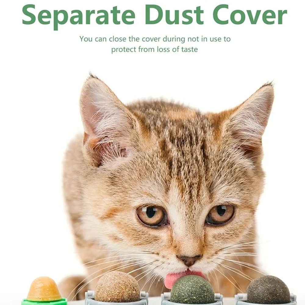 4in1 Catnip Wall Toy With Silvervine Rotating Dental Cleaning Interactive Cat Treat Ball 3