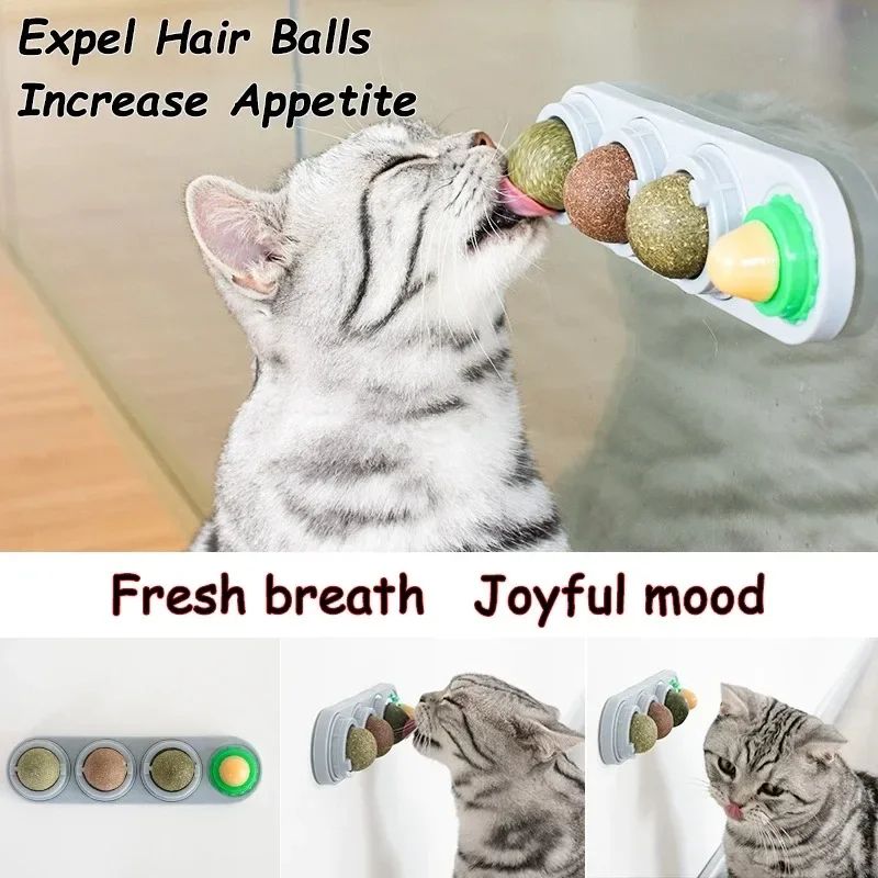 4in1 Catnip Wall Toy With Silvervine Rotating Dental Cleaning Interactive Cat Treat Ball 4