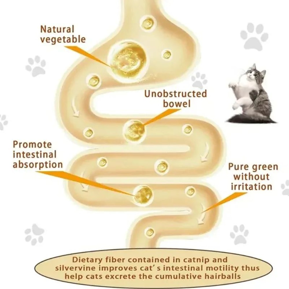 4in1 Catnip Wall Toy With Silvervine Rotating Dental Cleaning Interactive Cat Treat Ball 5