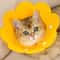 Soft Pet Recovery Cone Collar For Dogs And Cats 0