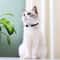 Personalized Reflective Nylon Cat Collar For Cats And Small Dogs 3
