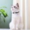 Personalized Reflective Nylon Cat Collar For Cats And Small Dogs 3