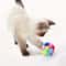 Playful Pounce Cat Plush Ball Toy With Bouncy Bell Ball Fun 4