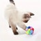 Playful Pounce Cat Plush Ball Toy With Bouncy Bell Ball Fun 4