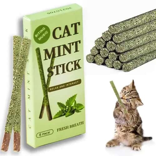 Natural Silvervine Cat Sticks for Dental Chewing and Play