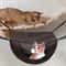 CoolRest Breathable Mesh Cat Hammock Bed 4