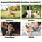 BrightEyes Pet Eye Wipes For Dogs Cats Gentle Tear Stain Remover Daily Eye Cleaner 100 Count 5
