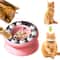 PuzzleSpin Interactive Cat Slow Feeder Toy Bowl 0