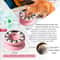 PuzzleSpin Interactive Cat Slow Feeder Toy Bowl 3