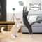 Interactive Cat Spring Ball Toys For Indoor Kitten Chase And Pounce Play 5