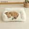 Cozy Stripe Cat Sofa Bed For Indoor Cats Small Pets 2