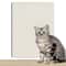 Cat Scratch Guard SelfAdhesive Furniture Protector Mat 6