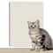 Trimmable SelfAdhesive Cat Scratch Mat Sofa Protector 13