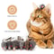 PlayPounce Plush Mouse Cat Toys 10Pack Interactive Cat Toys For Hunting Chasing Indoor Play 3